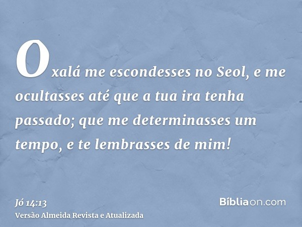 Oxalá me escondesses no Seol, e me ocultasses até que a tua ira tenha passado; que me determinasses um tempo, e te lembrasses de mim!