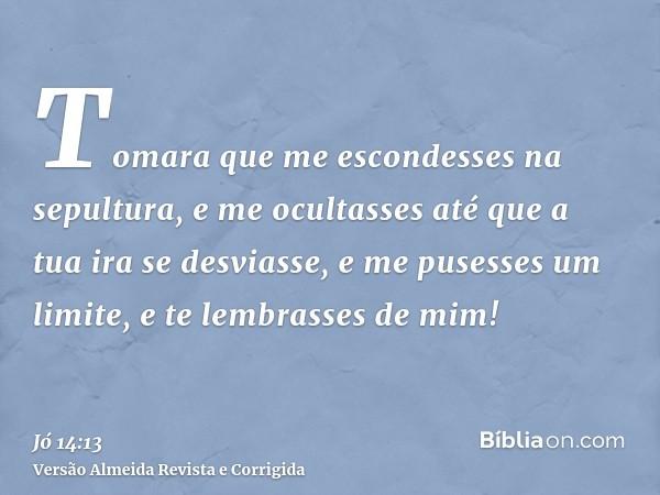 Tomara que me escondesses na sepultura, e me ocultasses até que a tua ira se desviasse, e me pusesses um limite, e te lembrasses de mim!