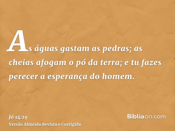 As águas gastam as pedras; as cheias afogam o pó da terra; e tu fazes perecer a esperança do homem.