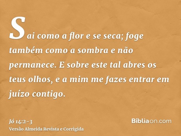 Sai como a flor e se seca; foge também como a sombra e não permanece.E sobre este tal abres os teus olhos, e a mim me fazes entrar em juízo contigo.