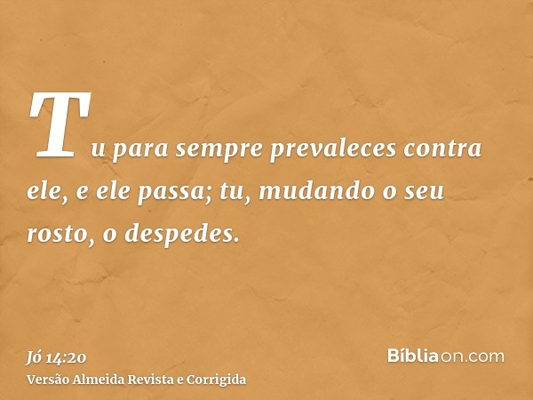 Tu para sempre prevaleces contra ele, e ele passa; tu, mudando o seu rosto, o despedes.