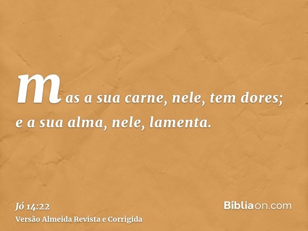 mas a sua carne, nele, tem dores; e a sua alma, nele, lamenta.