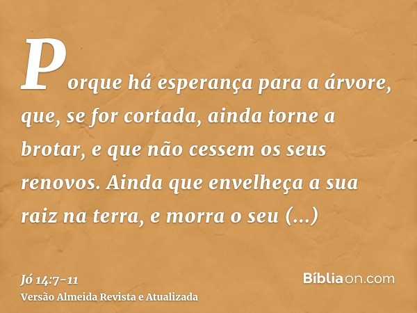 Porque há esperança para a árvore, que, se for cortada, ainda torne a brotar, e que não cessem os seus renovos.Ainda que envelheça a sua raiz na terra, e morra
