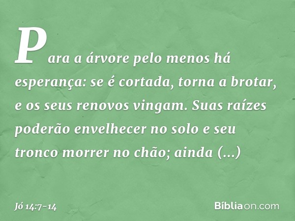 "Para a árvore
pelo menos há esperança:
se é cortada, torna a brotar,
e os seus renovos vingam. Suas raízes poderão envelhecer
no solo
e seu tronco morrer no ch