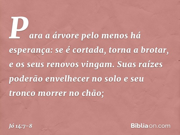 "Para a árvore
pelo menos há esperança:
se é cortada, torna a brotar,
e os seus renovos vingam. Suas raízes poderão envelhecer
no solo
e seu tronco morrer no ch