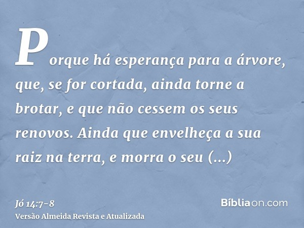 Porque há esperança para a árvore, que, se for cortada, ainda torne a brotar, e que não cessem os seus renovos.Ainda que envelheça a sua raiz na terra, e morra 