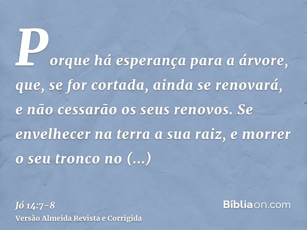 Porque há esperança para a árvore, que, se for cortada, ainda se renovará, e não cessarão os seus renovos.Se envelhecer na terra a sua raiz, e morrer o seu tron