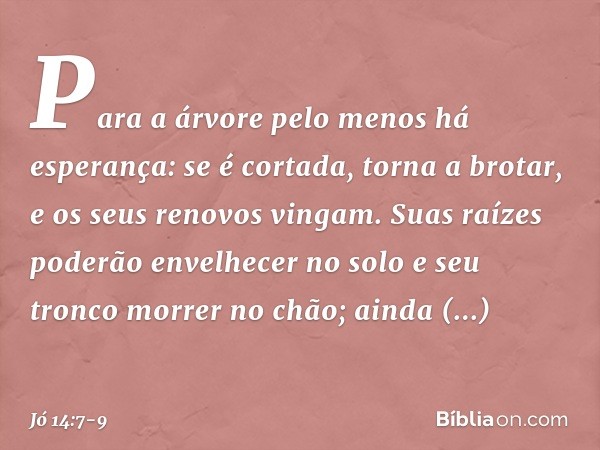 "Para a árvore
pelo menos há esperança:
se é cortada, torna a brotar,
e os seus renovos vingam. Suas raízes poderão envelhecer
no solo
e seu tronco morrer no ch