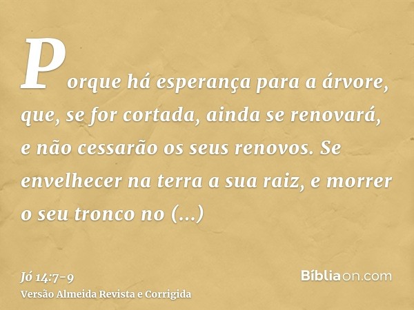 Porque há esperança para a árvore, que, se for cortada, ainda se renovará, e não cessarão os seus renovos.Se envelhecer na terra a sua raiz, e morrer o seu tron