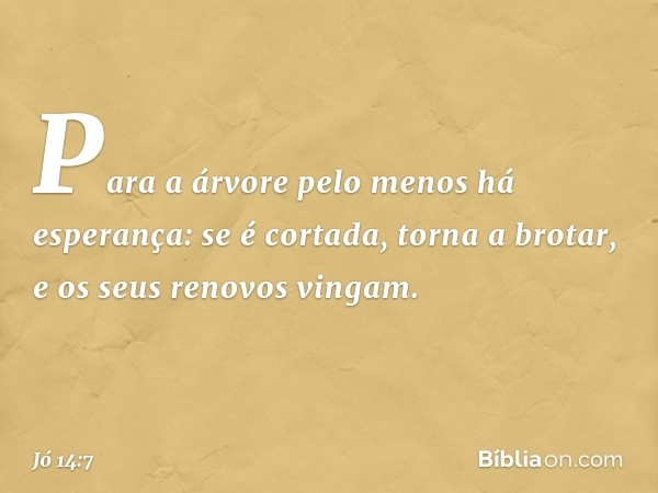 "Para a árvore
pelo menos há esperança:
se é cortada, torna a brotar,
e os seus renovos vingam. -- Jó 14:7