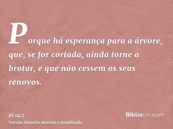 Porque há esperança para a árvore, que, se for cortada, ainda torne a brotar, e que não cessem os seus renovos.