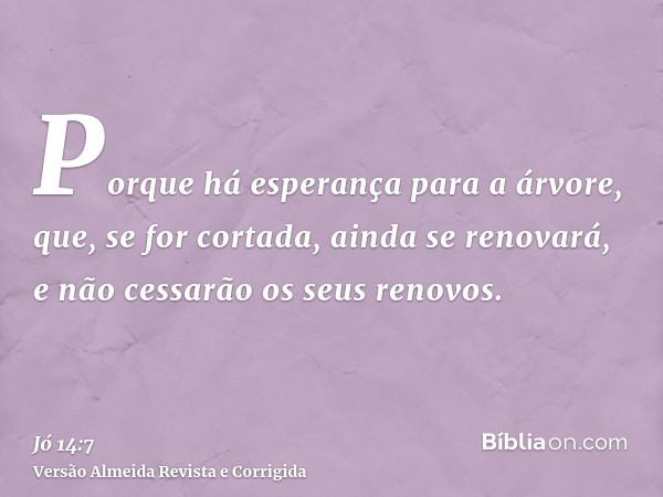 Porque há esperança para a árvore, que, se for cortada, ainda se renovará, e não cessarão os seus renovos.