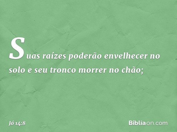 Suas raízes poderão envelhecer
no solo
e seu tronco morrer no chão; -- Jó 14:8