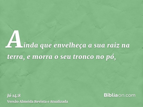 Ainda que envelheça a sua raiz na terra, e morra o seu tronco no pó,