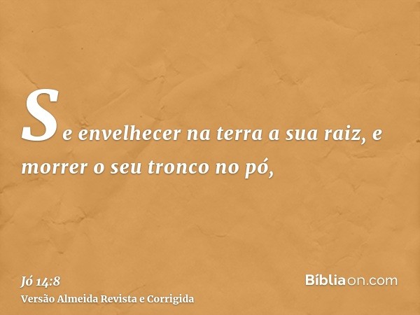 Se envelhecer na terra a sua raiz, e morrer o seu tronco no pó,
