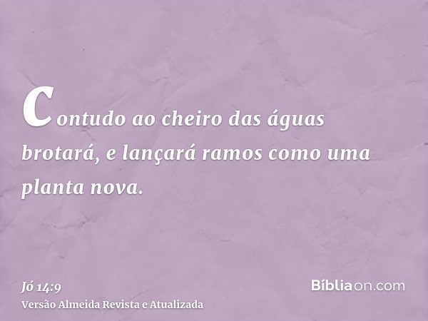 contudo ao cheiro das águas brotará, e lançará ramos como uma planta nova.