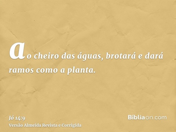 ao cheiro das águas, brotará e dará ramos como a planta.
