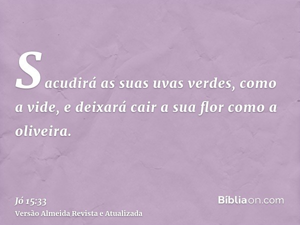 Sacudirá as suas uvas verdes, como a vide, e deixará cair a sua flor como a oliveira.