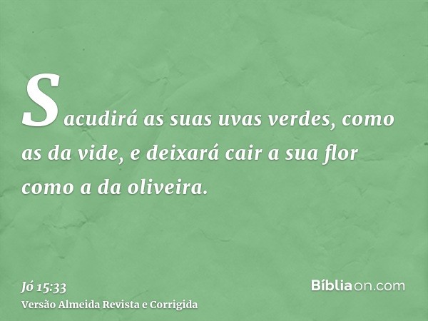 Sacudirá as suas uvas verdes, como as da vide, e deixará cair a sua flor como a da oliveira.
