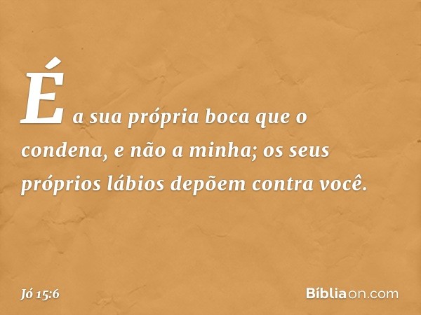 É a sua própria boca que o condena,
e não a minha;
os seus próprios lábios
depõem contra você. -- Jó 15:6