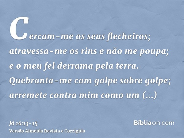 Cercam-me os seus flecheiros; atravessa-me os rins e não me poupa; e o meu fel derrama pela terra.Quebranta-me com golpe sobre golpe; arremete contra mim como u