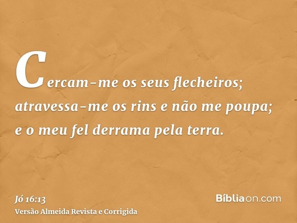 Cercam-me os seus flecheiros; atravessa-me os rins e não me poupa; e o meu fel derrama pela terra.