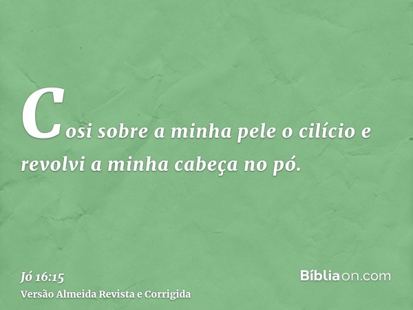 Cosi sobre a minha pele o cilício e revolvi a minha cabeça no pó.