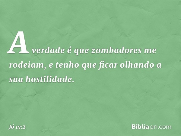 A verdade é que
zombadores me rodeiam,
e tenho que ficar olhando
a sua hostilidade. -- Jó 17:2