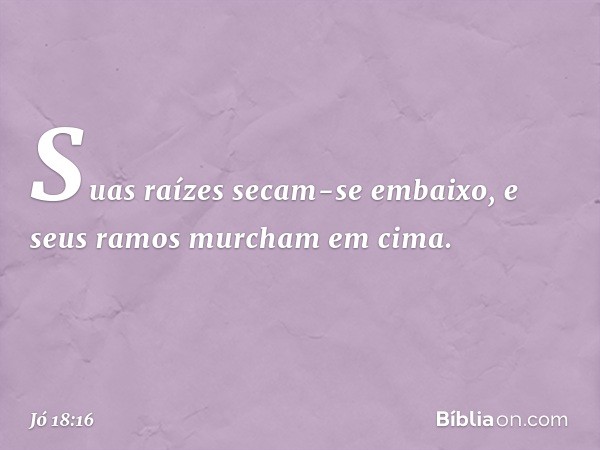 Suas raízes secam-se embaixo,
e seus ramos murcham em cima. -- Jó 18:16