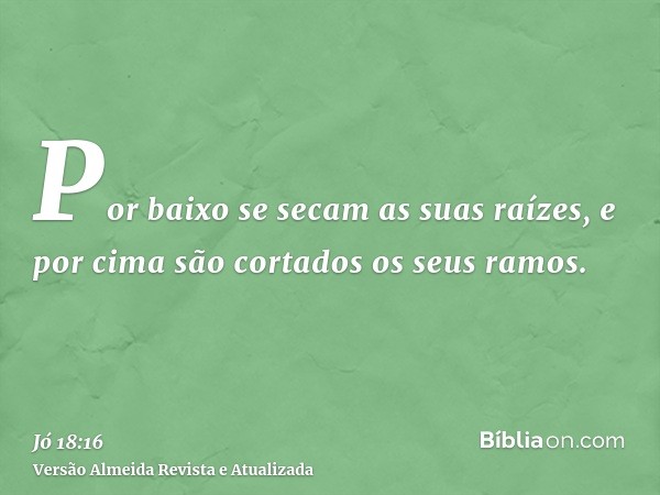 Por baixo se secam as suas raízes, e por cima são cortados os seus ramos.