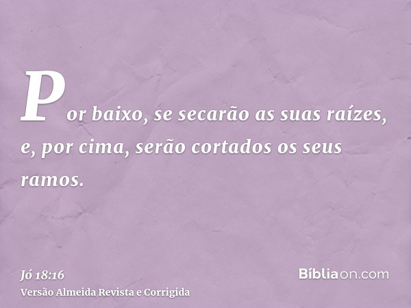 Por baixo, se secarão as suas raízes, e, por cima, serão cortados os seus ramos.