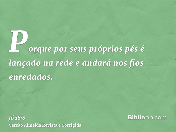 Porque por seus próprios pés é lançado na rede e andará nos fios enredados.