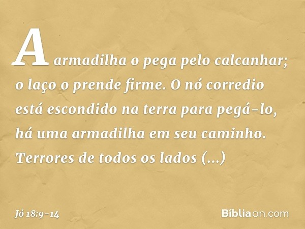 A armadilha o pega pelo calcanhar;
o laço o prende firme. O nó corredio está escondido na terra
para pegá-lo,
há uma armadilha em seu caminho. Terrores de todos