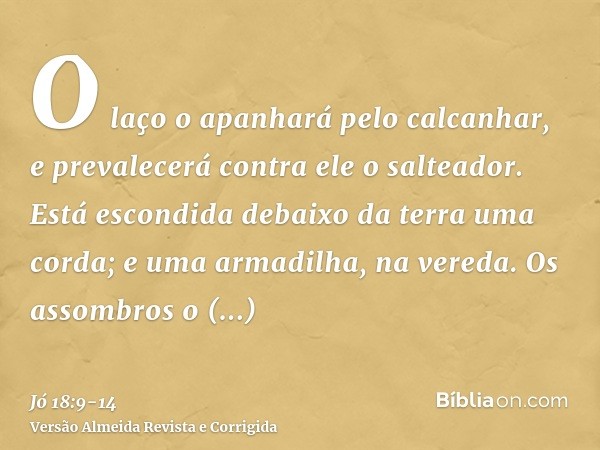 O laço o apanhará pelo calcanhar, e prevalecerá contra ele o salteador.Está escondida debaixo da terra uma corda; e uma armadilha, na vereda.Os assombros o espa