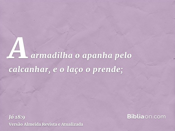 A armadilha o apanha pelo calcanhar, e o laço o prende;