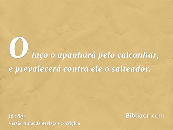 O laço o apanhará pelo calcanhar, e prevalecerá contra ele o salteador.