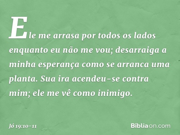 Ele me arrasa por todos os lados
enquanto eu não me vou;
desarraiga a minha esperança
como se arranca uma planta. Sua ira acendeu-se contra mim;
ele me vê como 