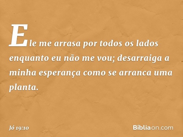 Ele me arrasa por todos os lados
enquanto eu não me vou;
desarraiga a minha esperança
como se arranca uma planta. -- Jó 19:10