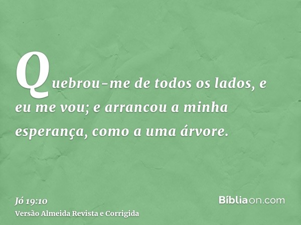 Quebrou-me de todos os lados, e eu me vou; e arrancou a minha esperança, como a uma árvore.