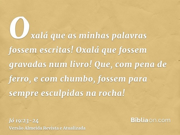 Oxalá que as minhas palavras fossem escritas! Oxalá que fossem gravadas num livro!Que, com pena de ferro, e com chumbo, fossem para sempre esculpidas na rocha!