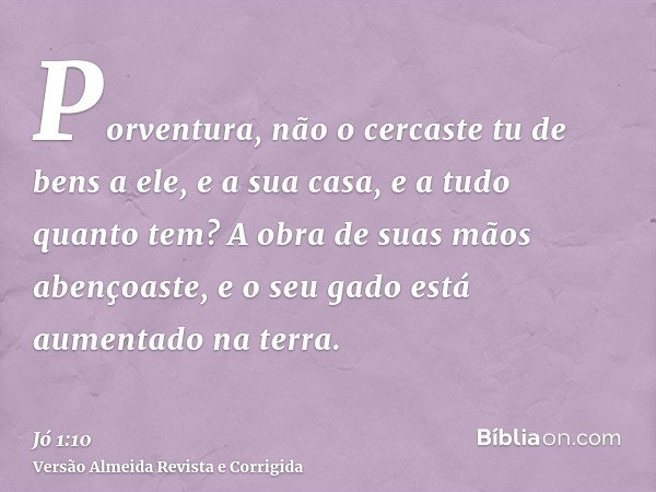 Porventura, não o cercaste tu de bens a ele, e a sua casa, e a tudo quanto tem? A obra de suas mãos abençoaste, e o seu gado está aumentado na terra.