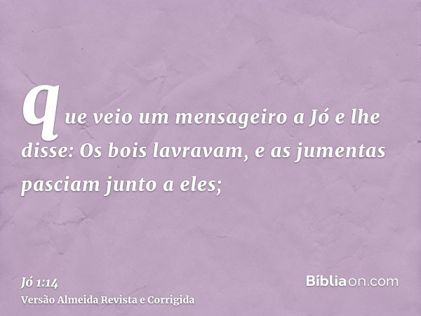 que veio um mensageiro a Jó e lhe disse: Os bois lavravam, e as jumentas pasciam junto a eles;