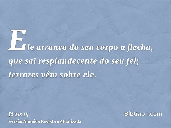 Ele arranca do seu corpo a flecha, que sai resplandecente do seu fel; terrores vêm sobre ele.