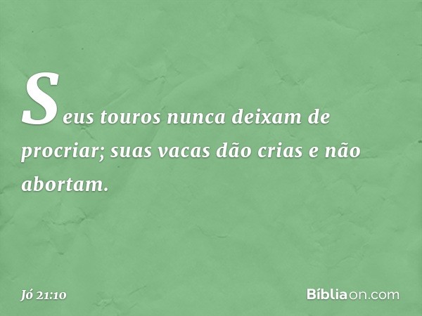 Seus touros nunca deixam
de procriar;
suas vacas dão crias e não abortam. -- Jó 21:10