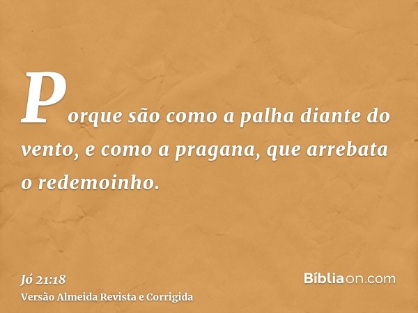 Porque são como a palha diante do vento, e como a pragana, que arrebata o redemoinho.