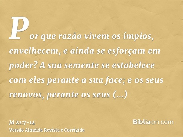 Por que razão vivem os ímpios, envelhecem, e ainda se esforçam em poder?A sua semente se estabelece com eles perante a sua face; e os seus renovos, perante os s