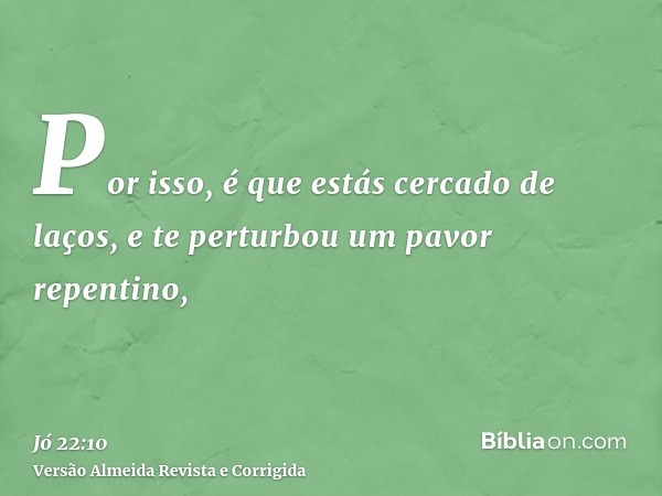 Por isso, é que estás cercado de laços, e te perturbou um pavor repentino,