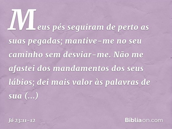 Meus pés seguiram de perto
as suas pegadas;
mantive-me no seu caminho
sem desviar-me. Não me afastei dos mandamentos
dos seus lábios;
dei mais valor às palavras