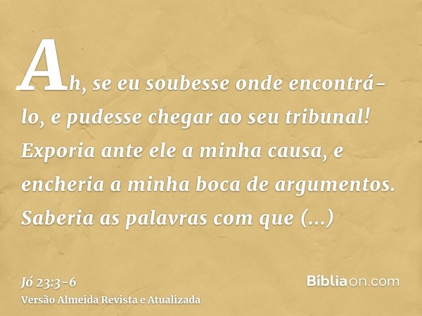 Ah, se eu soubesse onde encontrá-lo, e pudesse chegar ao seu tribunal!Exporia ante ele a minha causa, e encheria a minha boca de argumentos.Saberia as palavras