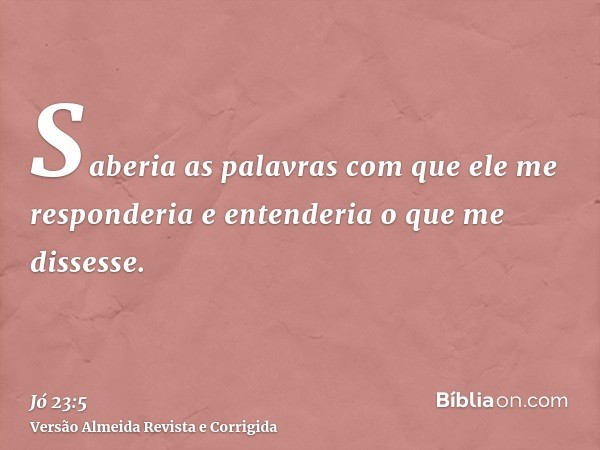 Saberia as palavras com que ele me responderia e entenderia o que me dissesse.